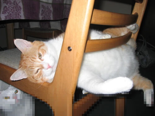 开云官方网页登录-社交媒体热议：球迷对裁判判罚疯狂吐槽，球迷辱骂裁判怎么判罚