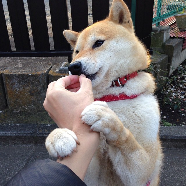 开云官方网站-阿尔·哈姆达乌伊在巴黎奥运会男足比赛中展现出强大的防守能力