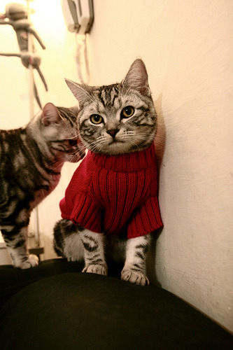 俄罗斯在对克威岛的比赛中大获全胜,俄罗斯在对克威岛的比赛中大获全胜