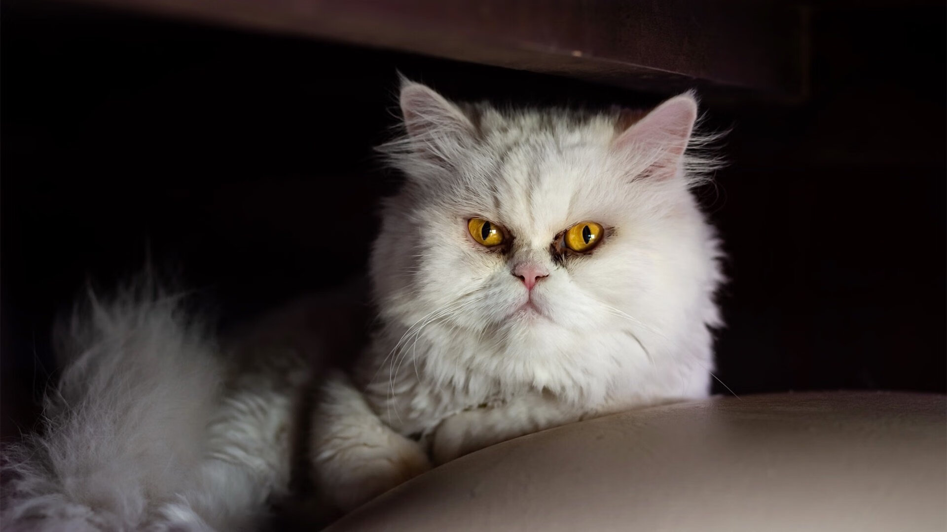 利物浦主帅透露战术变动,球队或将出现新风格,利物浦的主帅